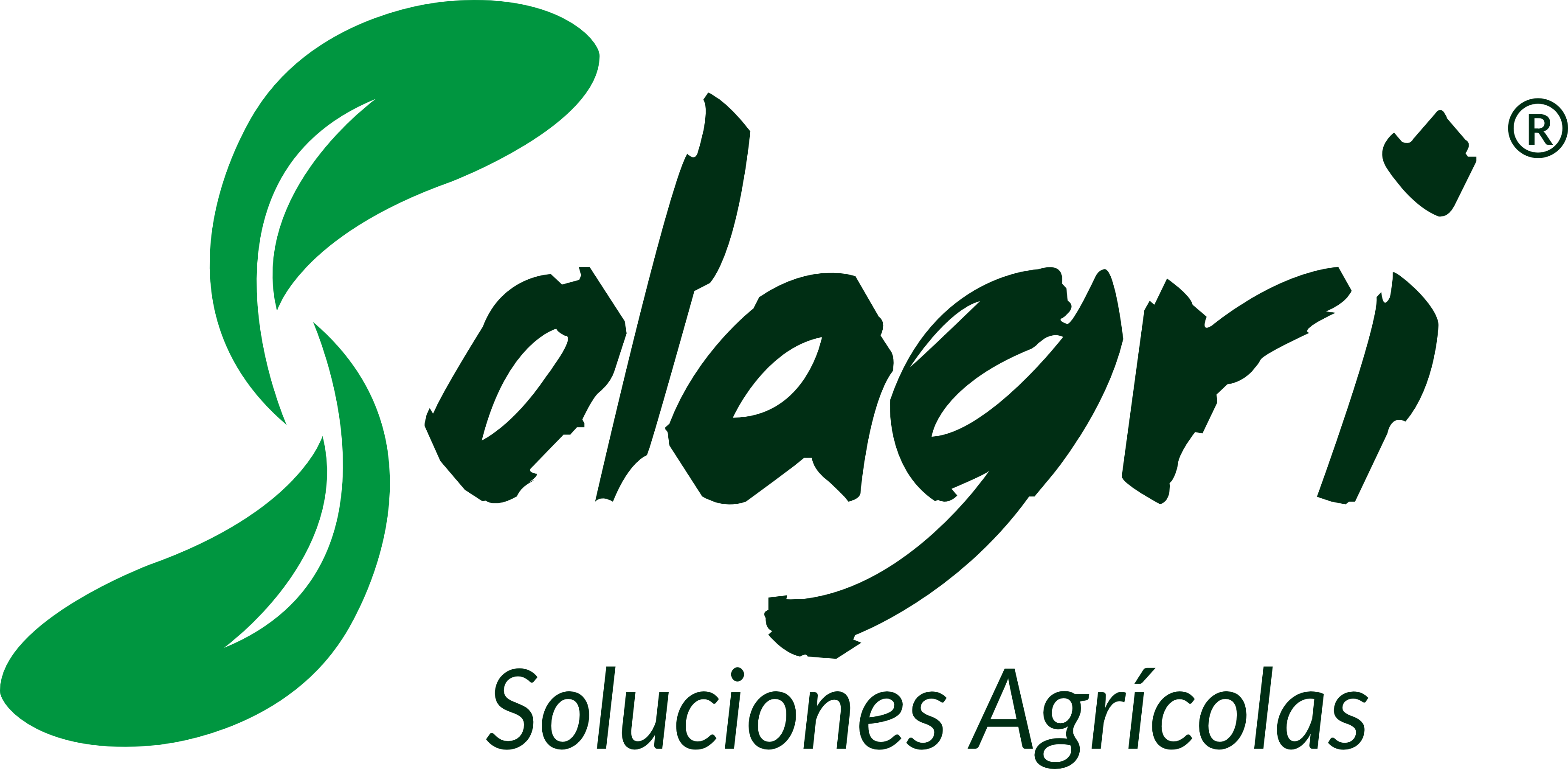 Cliente 17